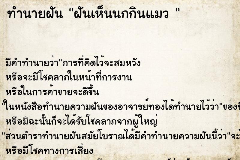 ทำนายฝัน ฝันเห็นนกกินแมว 